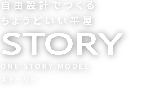 自由設計でつくる ちょうどいい平屋 NEW STORY